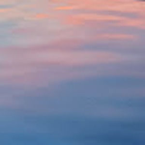 Meet your Posher, Lexie